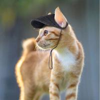 Cómodo sombrero de béisbol para mascotas de Color sólido ajustable con orificios para las orejas gorra para perros protección solar transpirable sombrero para el sol para perros para el verano - details 5