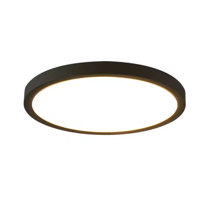 CBJKTX Plafón LED Plano Negro 18cm 15W Redondo Pequeño LED Blanco Cálido Integrado Permanentemente 3000K - 1