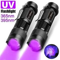 Linterna UV LED Mini Luz de Inspección Ultravioleta 365nm para Detectar Manchas de Orura de Mascotas - details 1