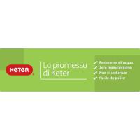 Promise