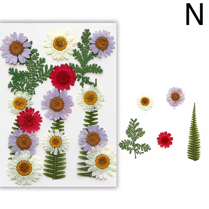 Flores secas, planta Natural Real, flor prensada para relleno de resina epoxi, manualidades para decoración de uñas, artesanía para hacer joyas - 1