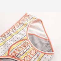 Ropa interior de algodón retro de talla europea a prueba de fugas para mujer, absorbe una pequeña cantidad, período menstrual - details 1