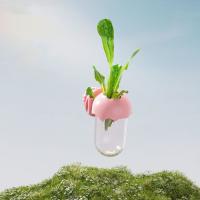 Botella hidropónica transparente con forma de flor de loro, dispositivo de alimentación de loro ecológico reutilizable, tarro de arreglo floral sin BPA - details 6