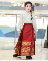 Conjunto de falda con cara de caballo para niños, disfraz antiguo de estilo chino, Súper Hada bordada Hanfu, primavera y otoño - details 10