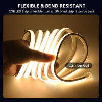 Tira de neón COB para exteriores, cinta Flexible de alto brillo, impermeable IP65, 220 LED/m, RA90, para decoración del hogar y el jardín, 288 V - details 9