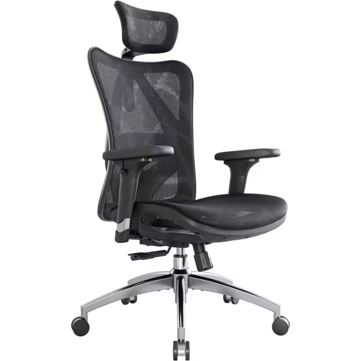 Silla de Oficina ergonómica, Respaldo Alto, Asiento Trasero de Malla, Transpirable, reposabrazos 3D Ajustable y Soporte Lumbar, Base de Metal (Negro) - 1