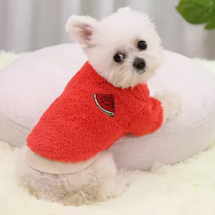 Conjunto de manga de ropa cálida para perros Chihuahua con capucha para perros - 1