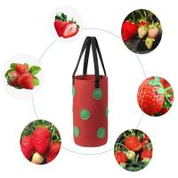 Colgante de fieltro multifuncional de 12 agujeros, tomate, fresa, éter, verduras, flores, bolsa de cultivo de plantas, jardín ETA - details 4