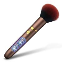 Leten-brocha de maquillaje, consolador vibrador tipo bala, orgasmo de choque fuerte, estimulador del clítoris y pezón del punto G, masaje AV, varita mágica, Juguetes sexuales femeninos - details 13