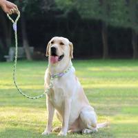 Cadena duradera nailon mascotas, Collar correa de tracción perros medianos y grandes, Correa antideslizante para cachorros - details 3