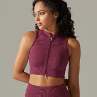 Hamidou-Sujetador deportivo con cremallera para mujer, Top de Yoga, chaleco de sudor, chaqueta de entrenamiento para correr, chaquetas sin mangas para correr, Tops cortos elásticos ajustados - details 10