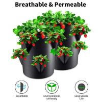 Cultivo de bolsas no tejidas de fresa de 6 lados, ETA para cultivo de plantas en jardín - details 4