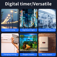 Interruptor de temporizador Digital, enchufe de la UE, toma de corriente electrónica programable con ajuste de hora y día, semanal, aparato de cocina - details 2