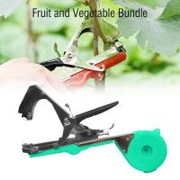 Encuadernación manual con 6 rollos de cintas + 1 caja de grapas para encuadernar ramas, grapadora de vid de uva para verduras, vides de pimienta - details 1