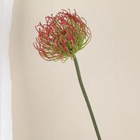 Flor de Leucospermum Artificial de tacto Real, elegante, hecha a mano, garra de cangrejo, crisantemos, alfiletero de plástico, rama de flor - details 1