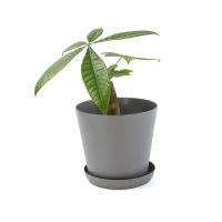 Contenedor de plantas, maceta para exteriores de jardín interior, maceta de plástico para vivero de plantas - details 1