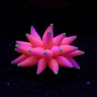 Coral Artificial de burbuja Fluorescent para acuario - details 1