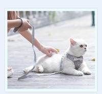 Conjunto de arnés y correa con lazo para gato, correa de plomo ajustable para cachorro, chaleco de malla de nailon, Collar para gatito, accesorios para gato - details 2