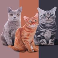 Juguetes de peluche de gato 3D realista, muñeco de Animal suave, almohada de simulación para dormir, cojín de sofá de gato 3D, muñeca de dibujos animados, regalo de decoración del hogar - details 9
