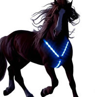 Brilla en la Oscuridad Vestidor de Seguridad para Caballos Telérico Recargable Luz para Paseos Nocturnos Correas Ajustables Material de Poliéster - details 7