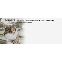 Edipets, Dispensador para Gatos y Perros, Comida y Agua, Pack 2 Unidades, Automático, 3.8 L c/u, Comedero, Alimentador y Bebedero para Mascotas (Gris) - details 0