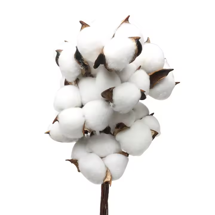 Rama de algodón simulada de colores, Material de arreglo de flores DIY, regalo de vacaciones, decoración de corona, suministro de ramo, 1 unidad - 1
