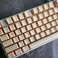 PBT Keycap 104 Keys OEM Profile Dual Color Injection Molding For Cherry MX Switches nical Keyboard - details 3
