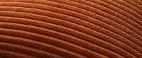Cozy corduroy fabric