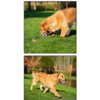 Bola de Campana Colorida para Mascotas Juguete Tejido resistente a Mordeduras y Trituración para Gatos y Perros - details 3