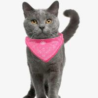 Para cachorro, gatito, gato, cuello, pañuelo, accesorios de aseo, collares para perros, Bandana para perros, suministros para mascotas, toalla de Saliva para perros - details 5