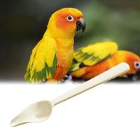 Alimentador de plástico de leche en polvo para pájaros, cuchara de medicina resistente al calor, mango largo, pollitos engrosados, alimentación de aves - details 5