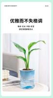 Planta hidropónica jugosa, riego automático, mini mesa de comedor interior ETA, decoración de bonsái para jardín y hogar - details 2