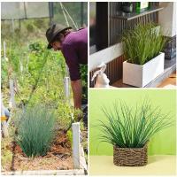 Artificial sobre césped, vegetat para bricole, lugar de celebración de bodas, decoración del hogar, adorno de edad, planta falsa, jardín al aire libre - details 1
