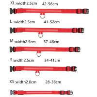 Collar brillante para perros con carga USB Collar de lujo desmontable con luz LED - details 1