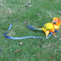 Juguete de entrenamiento al aire libre ajustable portátil, correa de tracción antimordedura, cuerda de entrenamiento para mascotas, arnés para loros, correa para pájaros - details 4