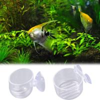 Florero de jardinería acrílico, decoración de acuario con soporte de succión, alimentador de gusanos rojos, taza para plantas y pecera - details 6