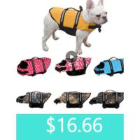 Pantalones Fisiológicos Unisex para Mascotas Ropa Interior para Niñas, Pañales para Perros, Calzoncillos con Correa, Bragas Sanitarias Femeninas, Pantalones Cortos para Perros - details 17
