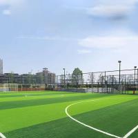 Césped sintético de fútbol escolar para campos de fútbol, ​​deportes al aire libre, alfombra de césped Artificial falso, césped de gimnasio - details 0
