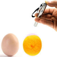 Incubadora, probador de huevos, lámpara LED para velas, equipo súper frío, Mini llavero de acero inoxidable, linterna para incubación de aves de corral, 1 unidad - details 2