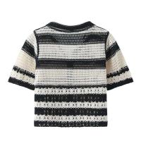 Chaleco de Crochet a Rayas de Moda para Mujer Cuello con Botón, Top Corto de Punto Transparente, Estilo Vintage de Teen Girls Fairycore - details 2
