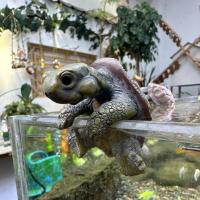 Bonitos adornos colgantes de tortuga en 3D, maceta de tortuga pequeña de dibujos animados hecha a mano, adornos decorativos de tortuga simulada para decoración del hogar - details 7