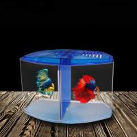 Caja de aislamiento transparente de plástico Betta para pecera con hierba de agua, rejilla única/doble, cría de peces - details 1
