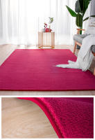 Alfombra de Terciopelo de Coral Gris Gruesa, Antideslizante, Ideal para Sofá de Estar, Dormitorio, Balcón - details 10