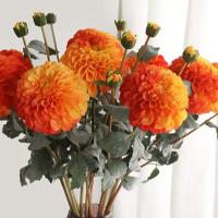 Rama de crisantemos artificiales de 80cm, 2 cabezas, simulación de tacto Real, flores de Dalia, arte Floral, flores falsas de seda hechas a mano - details 5