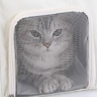 Bolsa de transporte para mascotas, mochila transpirable portátil para gatos y perros pequeños, suministros para mascotas - details 7