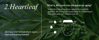 korean kbeauty mist moisturizing serum tea tree skincare hearleaf centella