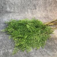 Ramas de plantas de helecho artificiales realistas, hechas a mano, tacto Real, vegetación Artificial, hierba de helecho, plantas falsas elegantes - details 5