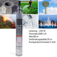 Bomba de Pozo Profundo Submersible de Acero Inoxidable Bomba de Agua Potente de 250 W con Tasa de Flujo Alta de 1600 L/h para Jardín - details 4