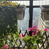 Sistema de Riego Automático para Plantas de Interior con Temporizador Fácil Instalación Herramienta de Irrigación para Macetas Producto Normal con Batería - details 3