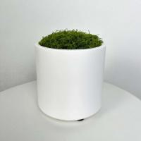 ETA para decoración del hogar, cerámica blanca plástico ETA, plantas, mesa de comedor nórdica decoración boda y dormitorio - details 3